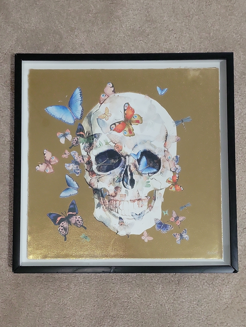 Parvez Taj Happy Butterfly Skull Framed Wall Art, 18.00" x 18